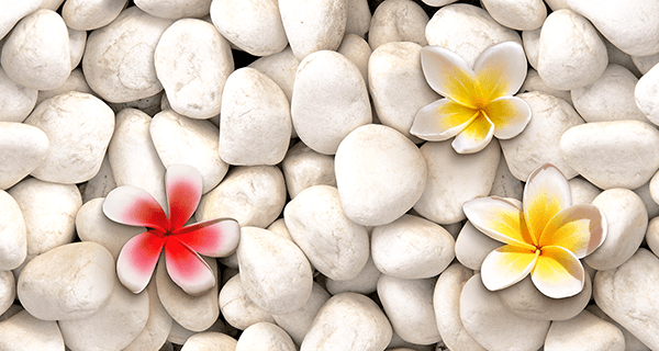 Fotomurales: Lilium sobre piedras