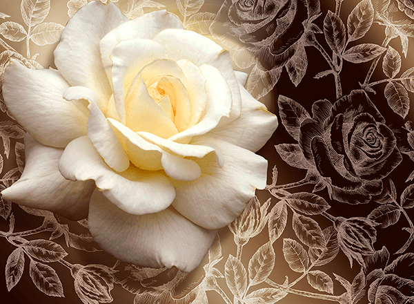 Fotomurales: Rosa Pascali