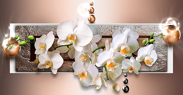 Fotomurales: Orquídeas tras el buzón