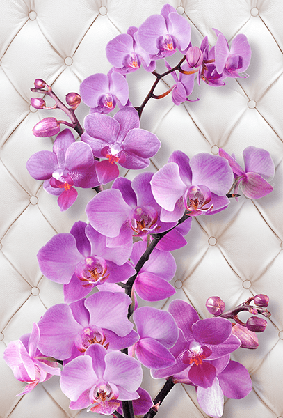 Fotomurales: Orquídea violeta sobre un cabecero