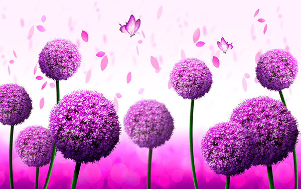 Fotomurales: Flor de ajo