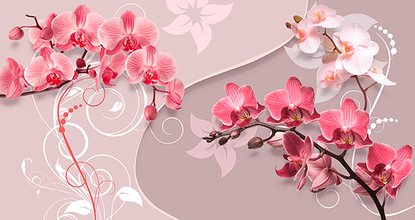 Fotomurales: Orquídeas Yin y Yang