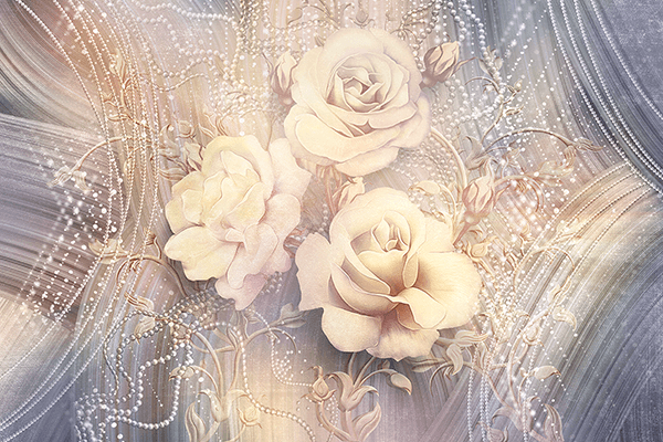 Fotomurales: Rosa Winchester Cathedral