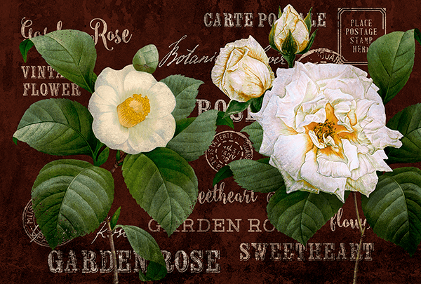 Fotomurales: Flores de postal