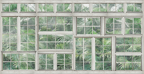 Fotomurales: Palmeras tras las ventanas