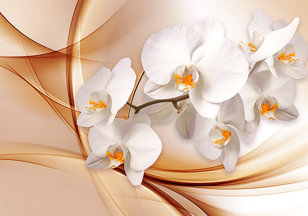 Fotomurales: Orquídeas en primavera
