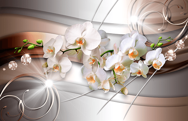 Fotomurales: Orquídeas de lujo