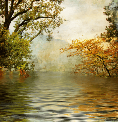 Vinilos Decorativos: Naturaleza en otoño