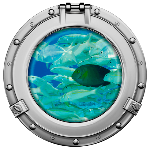 Vinilos Decorativos: Banco de peces 2