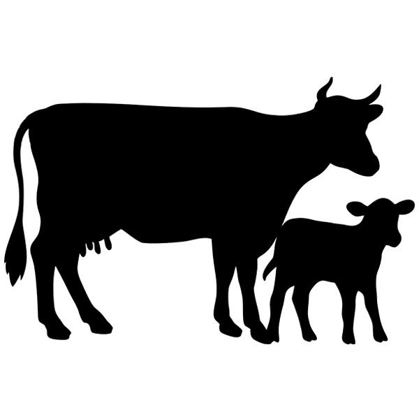 Vinilos Infantiles: Pizarra Vacas