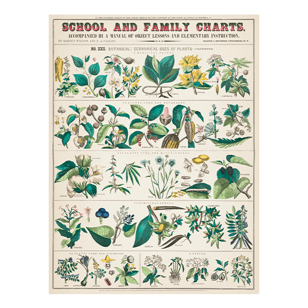 Vinilos Decorativos: School and Family Charts II