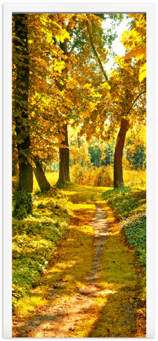 Vinilos Decorativos: Puerta camino bosque en otoño