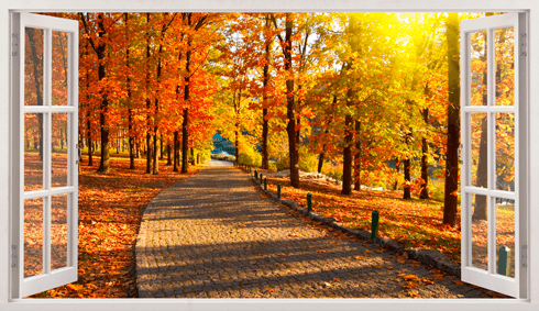 Vinilos Decorativos: Parque en otoño