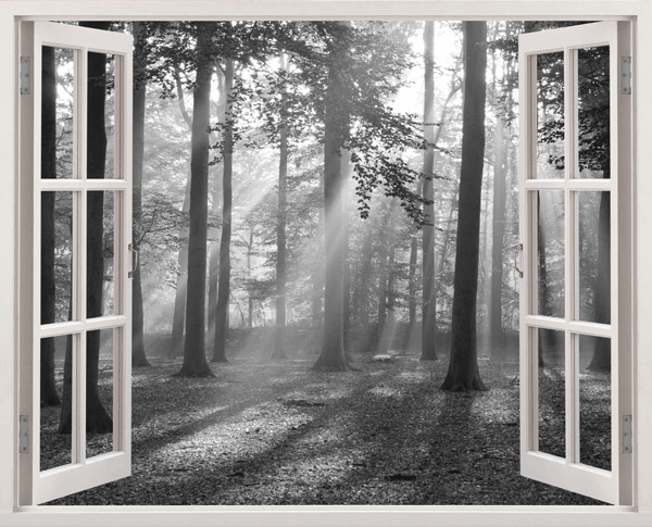 Vinilos Decorativos: Luz de Bosque