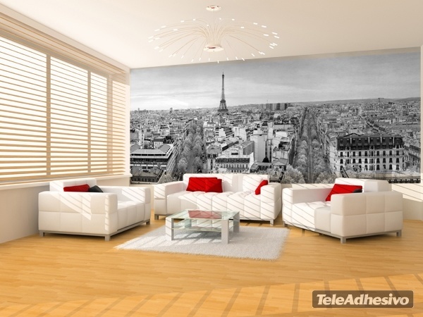 Fotomural con la imagen del skyline de Paris para la decoracion de un salon en blanco y negro