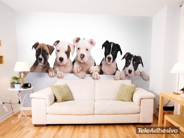 Un fotomural de cinco pequeños perros que puede formar parte de tus ideas de decoración