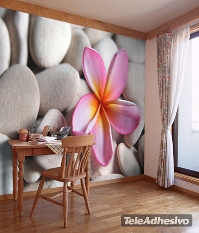 fotomurales-piedra-flor