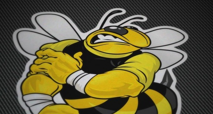 Pegatinas guapas para tunear tu moto