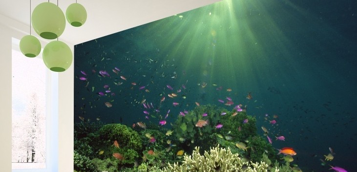 ¿Qué diferencia hay entre un vinilo decorativo y un fotomural?