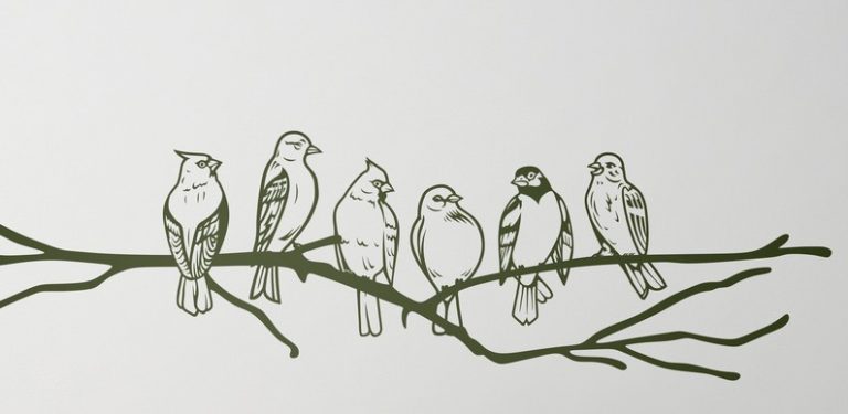 Estilo y decoración de casas de campo