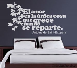 vinilos-decorativos-amor-crece-exupery