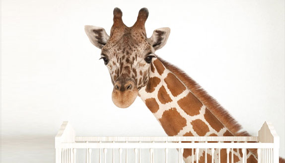 Decorar guardería o colegio con animales realistas