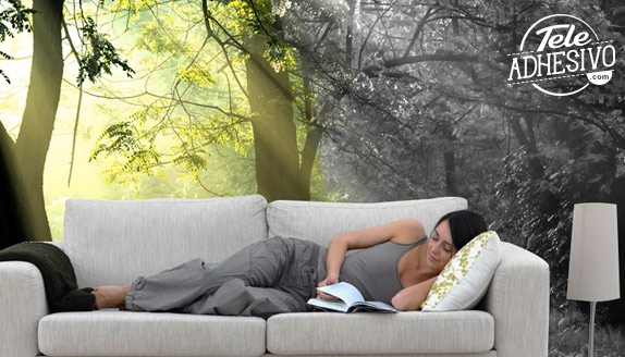 Fotomurales: ¿color o blanco y negro?