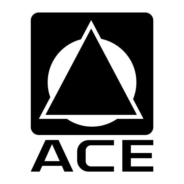 Vinilos autocaravanas: Vinilos Autocaravanas Logo ACE