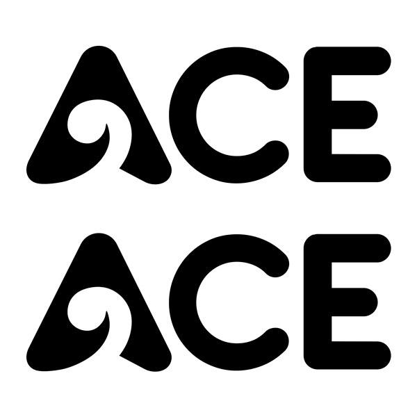 Vinilos autocaravanas: Vinilo ACE logotipo 25x10 cm