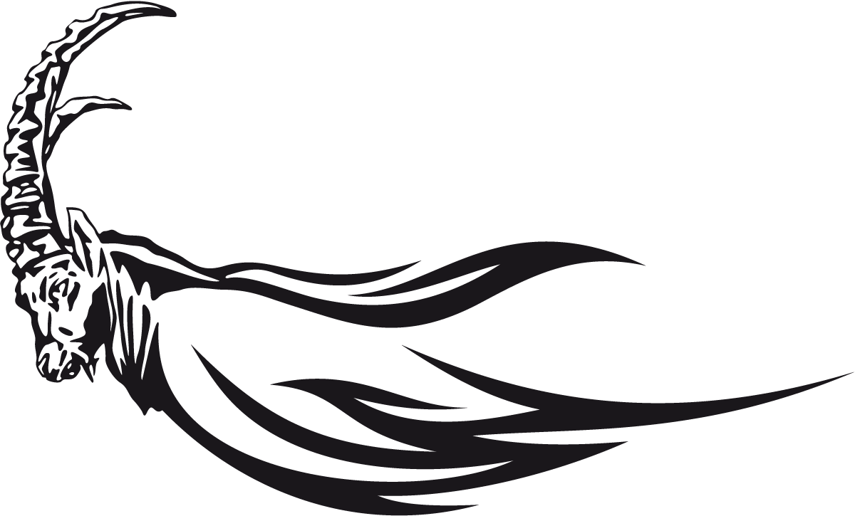 Pegatinas: Animal Flames 25