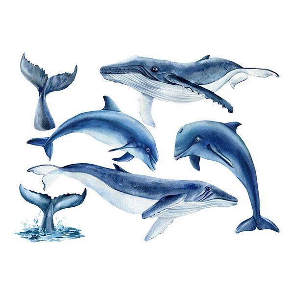 Vinilos Infantiles: Ballenas y Delfines