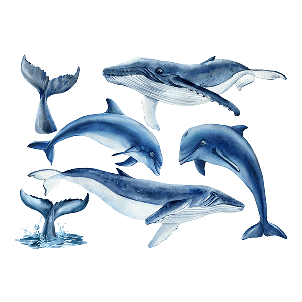 Vinilos Infantiles: Ballenas y Delfines 0