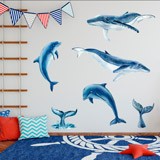 Vinilos Infantiles: Ballenas y Delfines 3