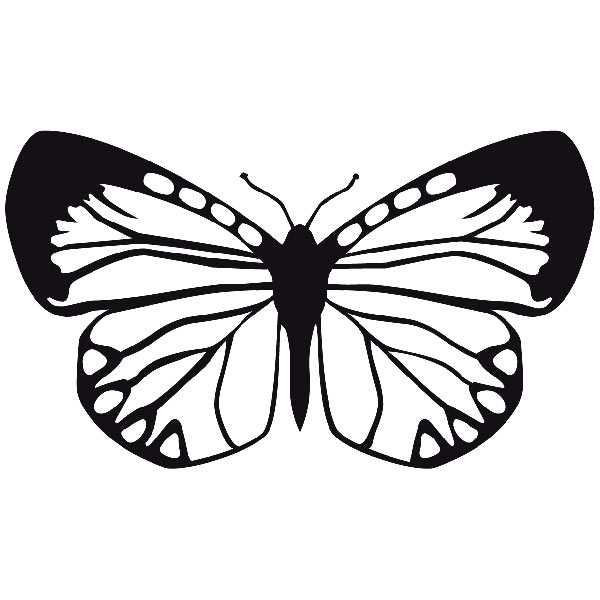 Vinilos Decorativos: Mariposa Eroessa Chiliensis