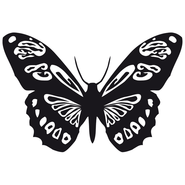 Vinilos Decorativos: Mariposa Colias Vauthieri