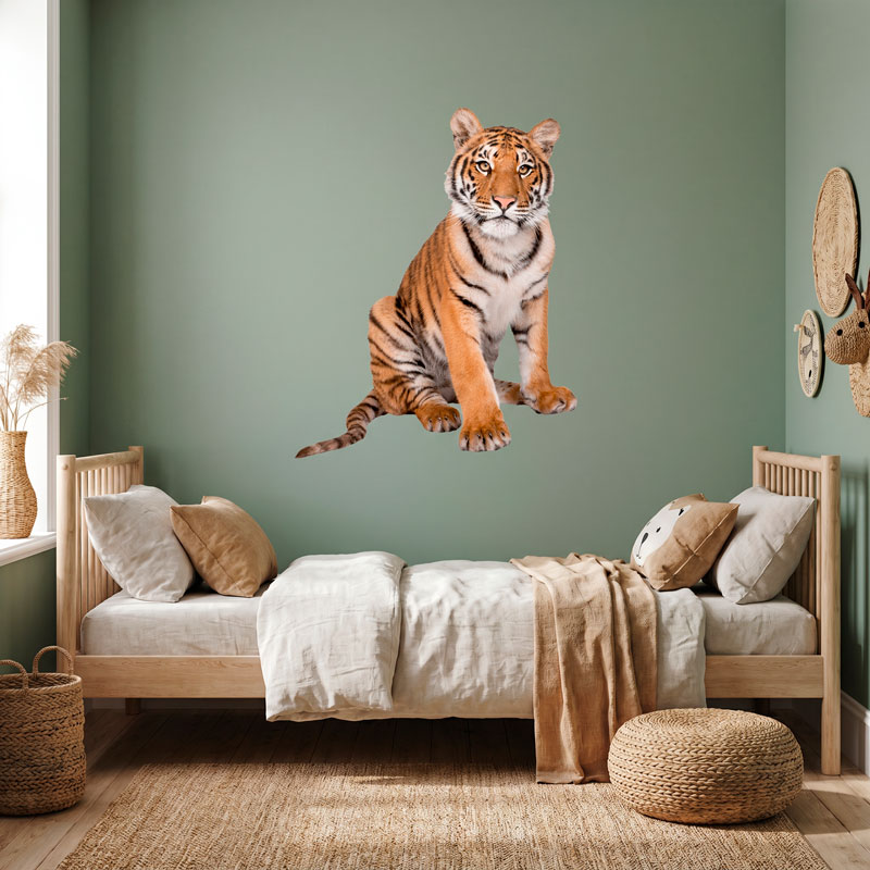 Joven tigre siberiano 6
