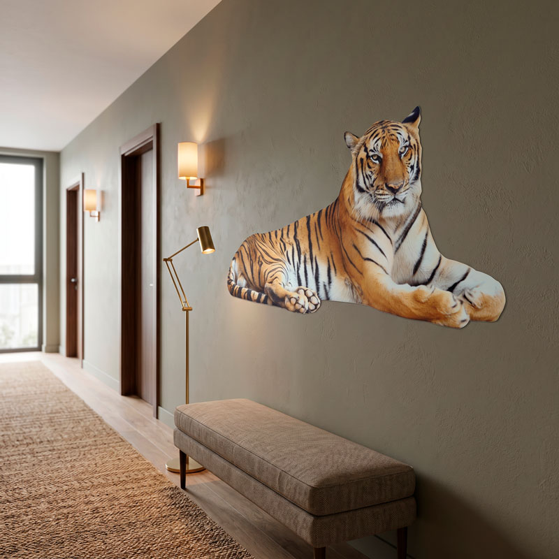 Tigre relajado 4/6