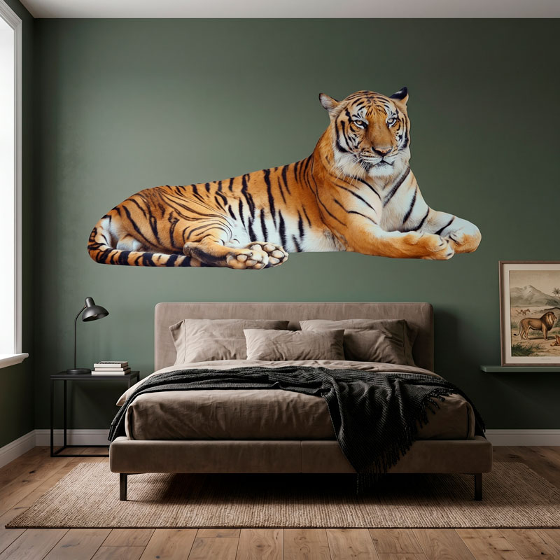 Tigre relajado 6/6