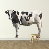 Vinilos Decorativos: Vaca Holstein 3