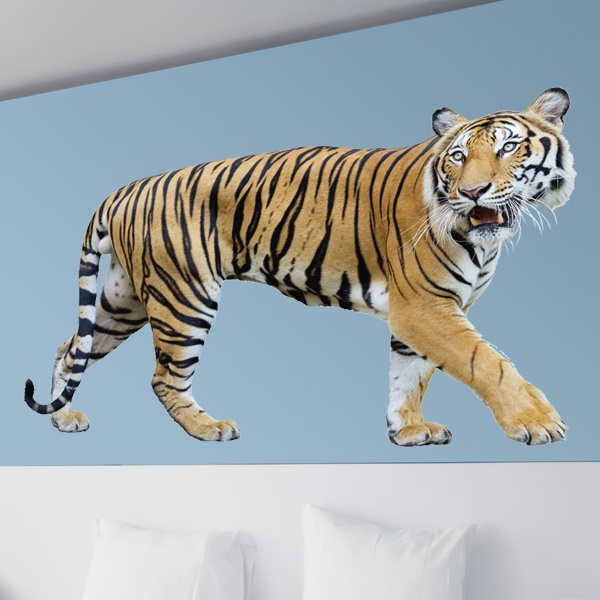 Vinilos Decorativos: Tigre acechando