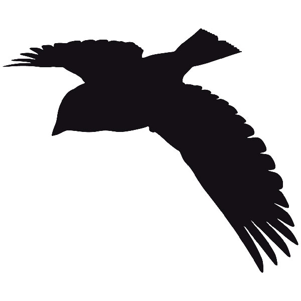 Vinilos Decorativos: Silueta de paloma volando