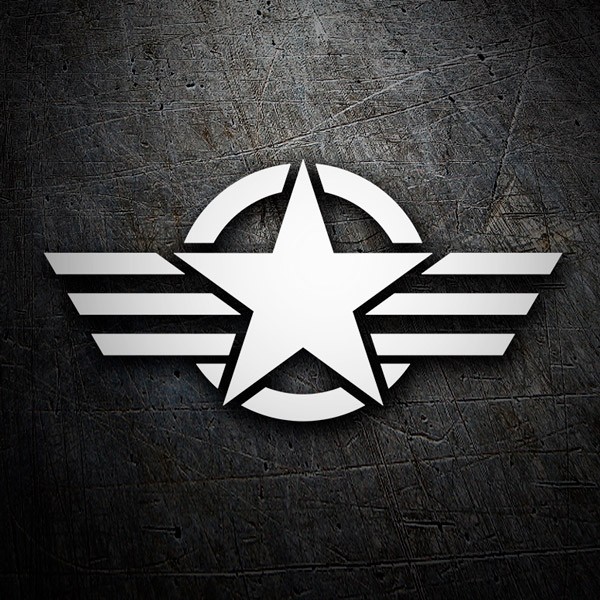 Pegatinas: Medalla militar US Army