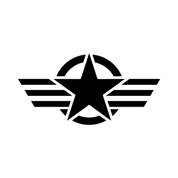 Pegatinas: Medalla militar US Army