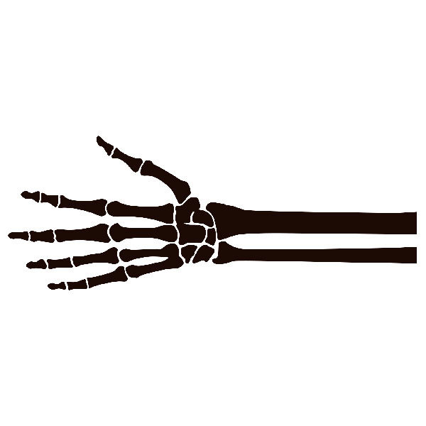 Pegatinas: Esqueleto de una mano