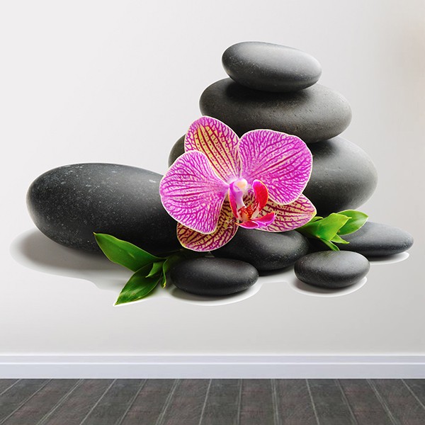 Vinilos Decorativos: Orquídea y rocas apiladas