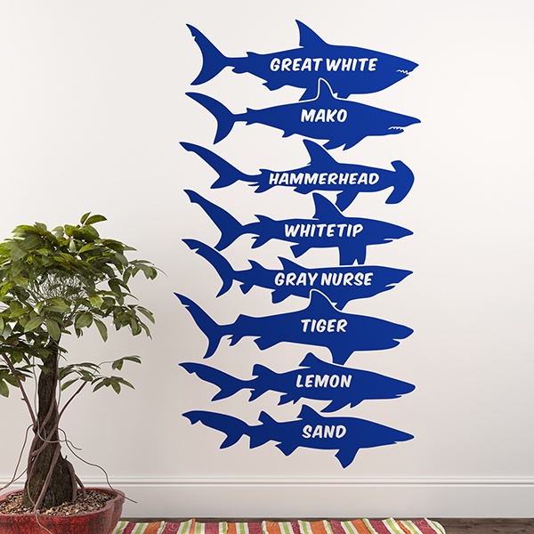 Vinilos Decorativos: Tiburones nombres inglés