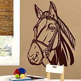 Vinilos Decorativos: Caballo 2