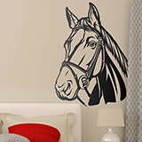 Vinilos Decorativos: Caballo 3