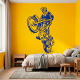 Vinilos Decorativos: Motocross Trial 10
