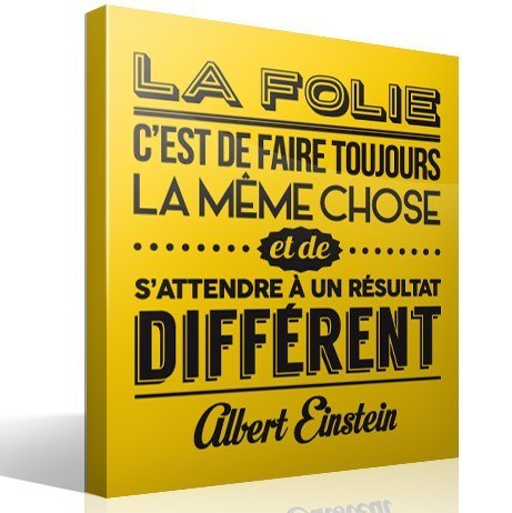 Vinilos Decorativos: La folie cest de faire toujours